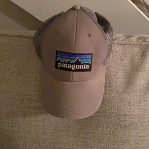 Patagonia Trucker Hat Grey
